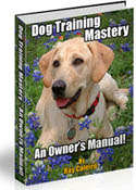 Dog Training